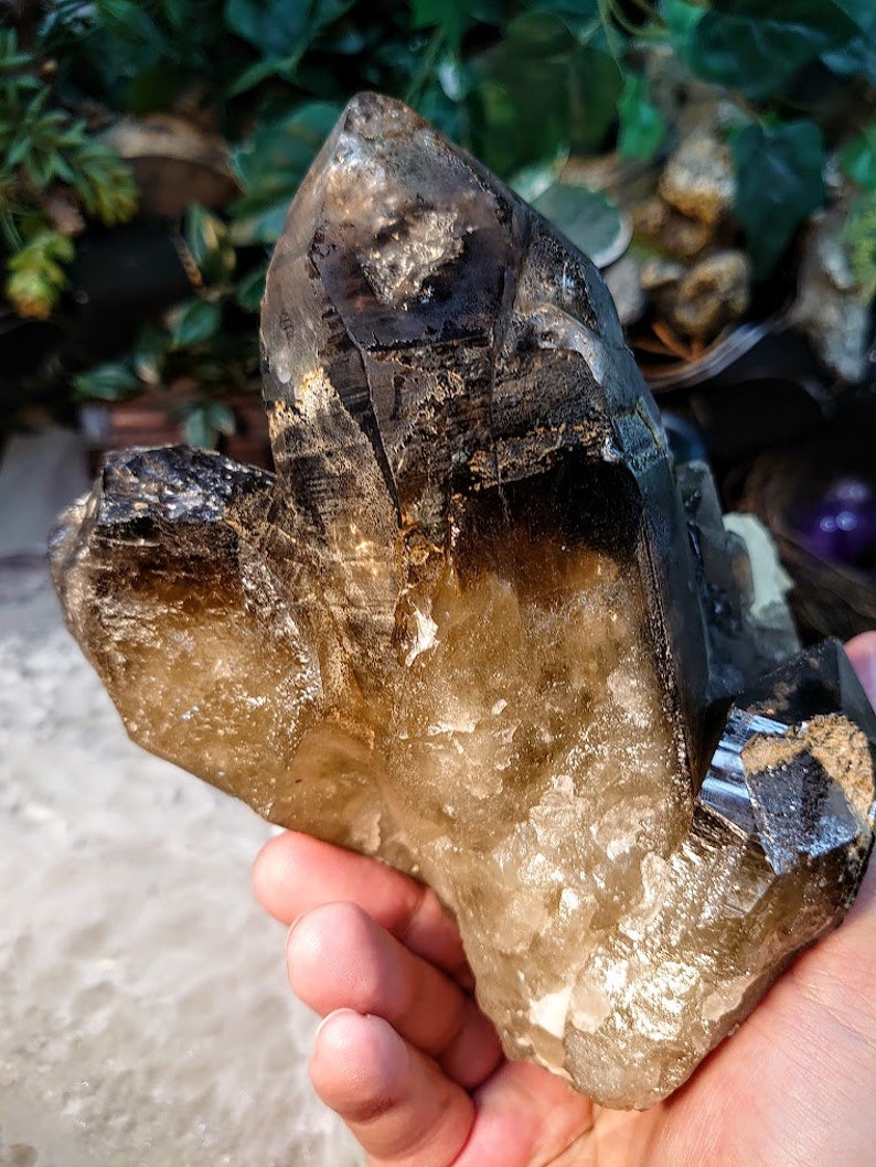 May include: A large, smoky quartz crystal cluster with a dark brown to black color. The crystal has a natural, rough texture and is translucent.