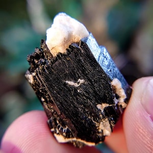 1.25&quot; Glossy Black Aegirine Crystal with Feldspar from Malawi, Africa for Crystal Healing / 16.70g / Home & Altar Decor