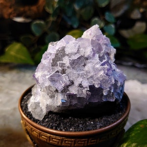 181g Clear Fluorite Cluster with Chalcedony Druzy from Emilio Mine, Asturias, Spain for Collection / Home & Altar Decor