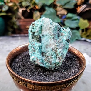 Chrysocolla with Malachite Crystals on Matrix for Home and Altar Decor / 72.16g / Small Cabinet Size / Crystal Healing / Collection