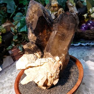 May include: A cluster of smoky quartz crystals with a natural, rough texture. The crystals are a dark brown color and are arranged in a cluster. The crystals are sitting on a bed of black sand in a wooden bowl.