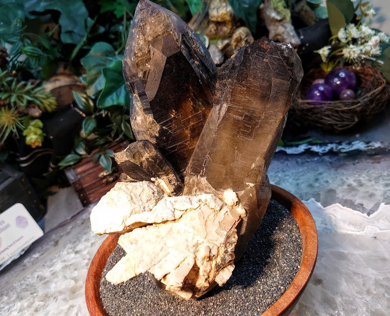 May include: A cluster of smoky quartz crystals with a natural, rough texture. The crystals are a dark brown color and are arranged in a cluster. The crystals are sitting on a bed of black sand in a wooden bowl.