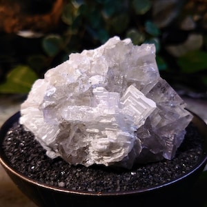239g Clear Fluorite Cluster with Barite Flower from Emilio Mine, Asturias, Spain for Collection / Home & Altar Decor / Meditation