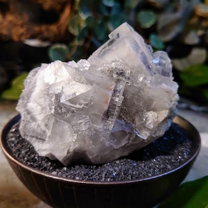 362g Clear Cubic Fluorite Cluster with Phantoms from Emilio Mine, Asturias, Spain for Collection / Home & Altar Decor / Meditation