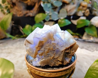 256g Grey Cubic Fluorite Cluster with Blue/Purple Core from Baluchistan Province, Pakistan for Home and Altar Decor/ Collection