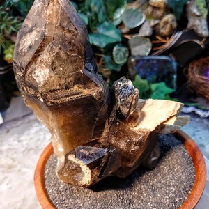 May include: A large, smoky quartz crystal cluster with multiple points, resting on a wooden base filled with black sand. The crystal is translucent and has a brown hue.