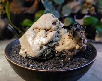 Black Tipped Smoky Quartz Cluster and Micro Aegirine Rods on Feldspar from Malawi for Home and Altar Decor / 194g / Collection / Meditation