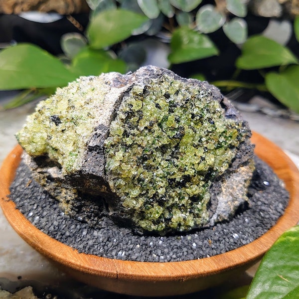 Peridot Home Decor Etsy