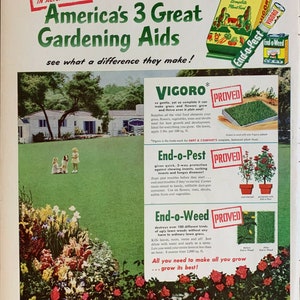 Vintage 1952 Vigoro Gardening Products Beautiful Lawn Print Ad Advertisement