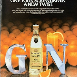 Vintage 1983 Seagram&#39;s Dry Gin Bottle  Drink & Oranges Print Ad Advertisement