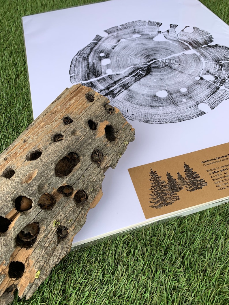 Wood Art, Tree Ring Print, Handmade - Etsy