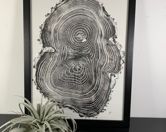 Anillo de árbol de madera de fresno, arte de pared, pieza original firmada y hecha a mano.