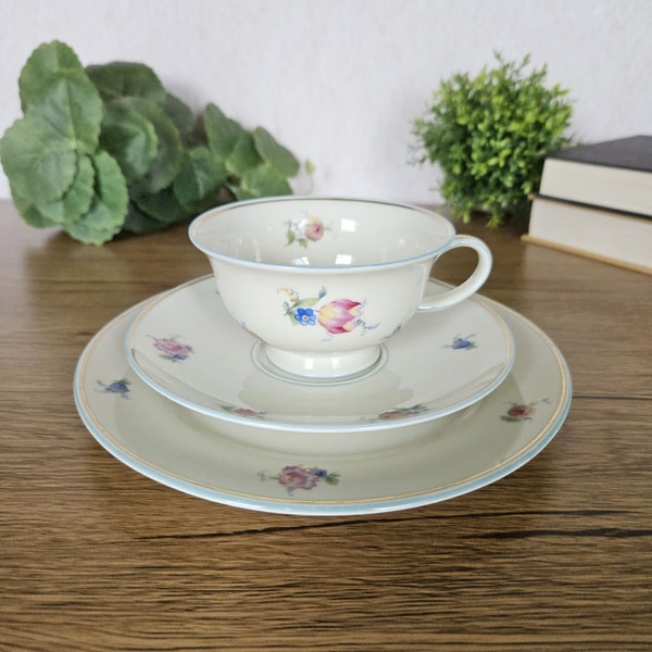3pc Floral Teacup Trio Set, Rosenthal Aida 1950s Tea Cup , Saucer, and Salad Plate, Made in Germany