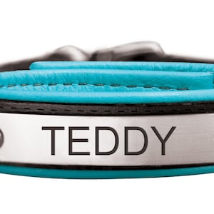 May include: Black leather dog collar with a turquoise blue trim and a silver nameplate that reads "TEDDY".