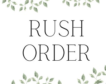 Spedizione in giornata Rush Order-3