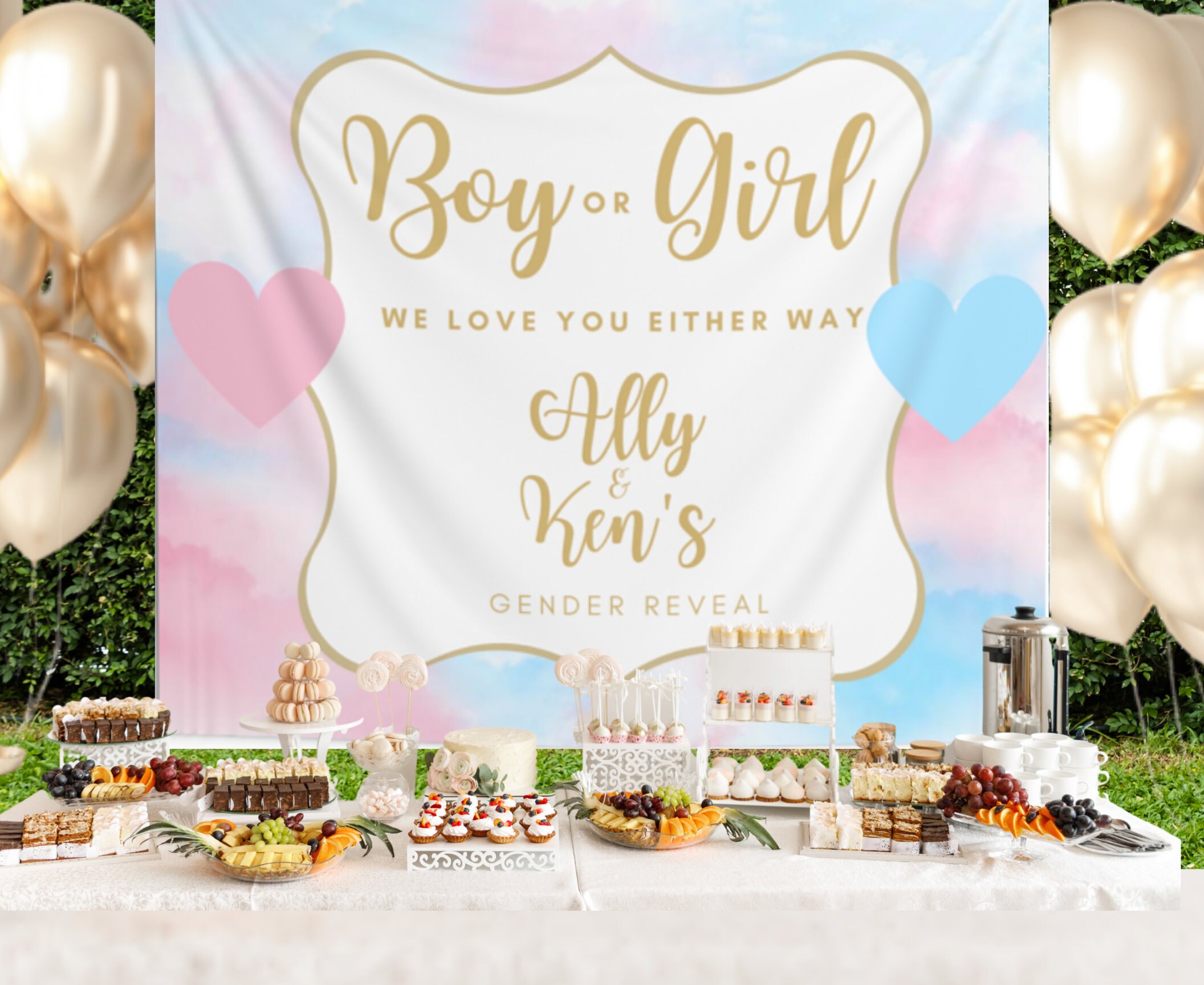 Baby gender reveal backdrop Twinkle twinkle little star Etsy