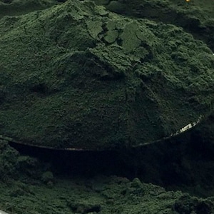 500 grams PlantPills 100% Spirulina Powder Lab tested Premium Quality Independently verified, oxygen-free packaging