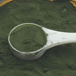 500 grams PlantPills Raw Field Grown Freeze Dried Kamut® Wheatgrass Juice Powder - Lab tested 250g wheat grass juice powder