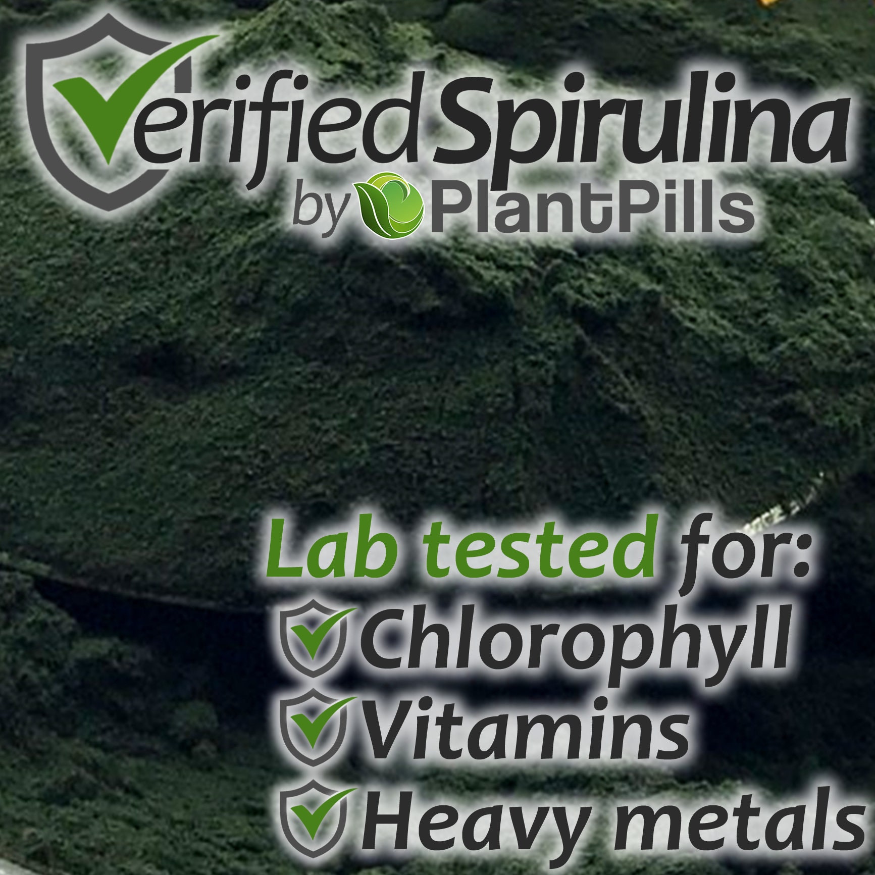 PlantPills Spermidine 250g - Complément Alimentaire 100% Naturel, Comprimés Labo Vérifiés 215mg