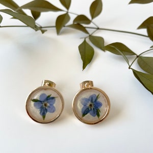 Real Forget-Me-Not Flower Resin Stud Earrings