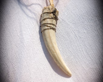 Antler Tip Necklace with Silver Wire Wrapping