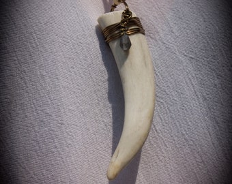 Antler Tip Necklace with Brass Wire Wrapping