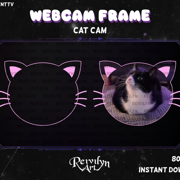 Cat webcam frame petcam catcam overlay pink Twitch INSTANT DOWNLOAD