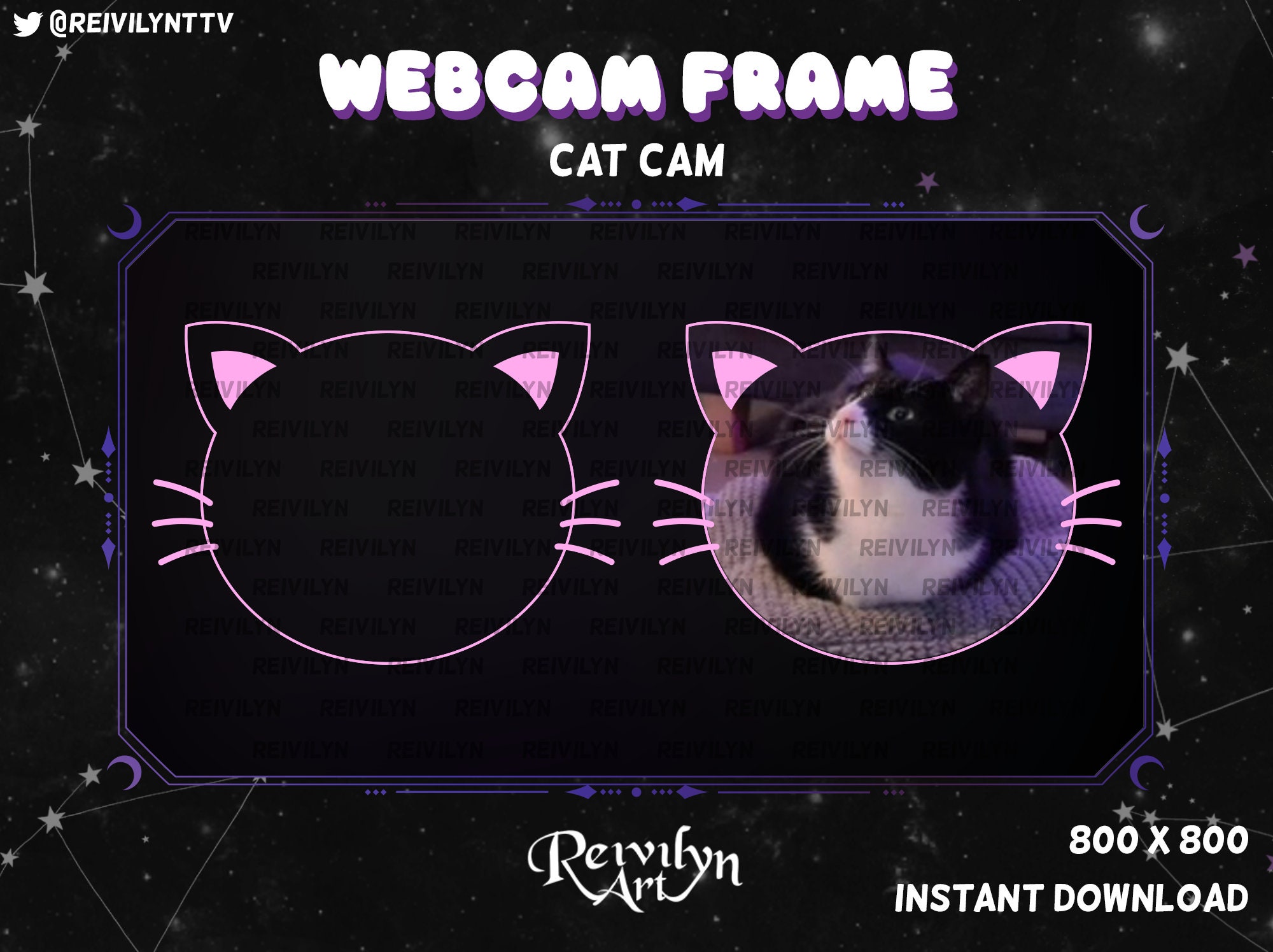 Cat cam Frame Petcam Catcam Overlay Pink Twitch INSTANT DOWNLOAD Etsy