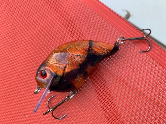 American Flag With Pike Fish Illustration. Design Element For Poster - View #5