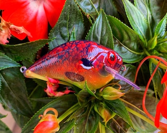 Howell Custom Lures -Sunset Seed- Custom painted on a S-Crank style crank bait fishing lure