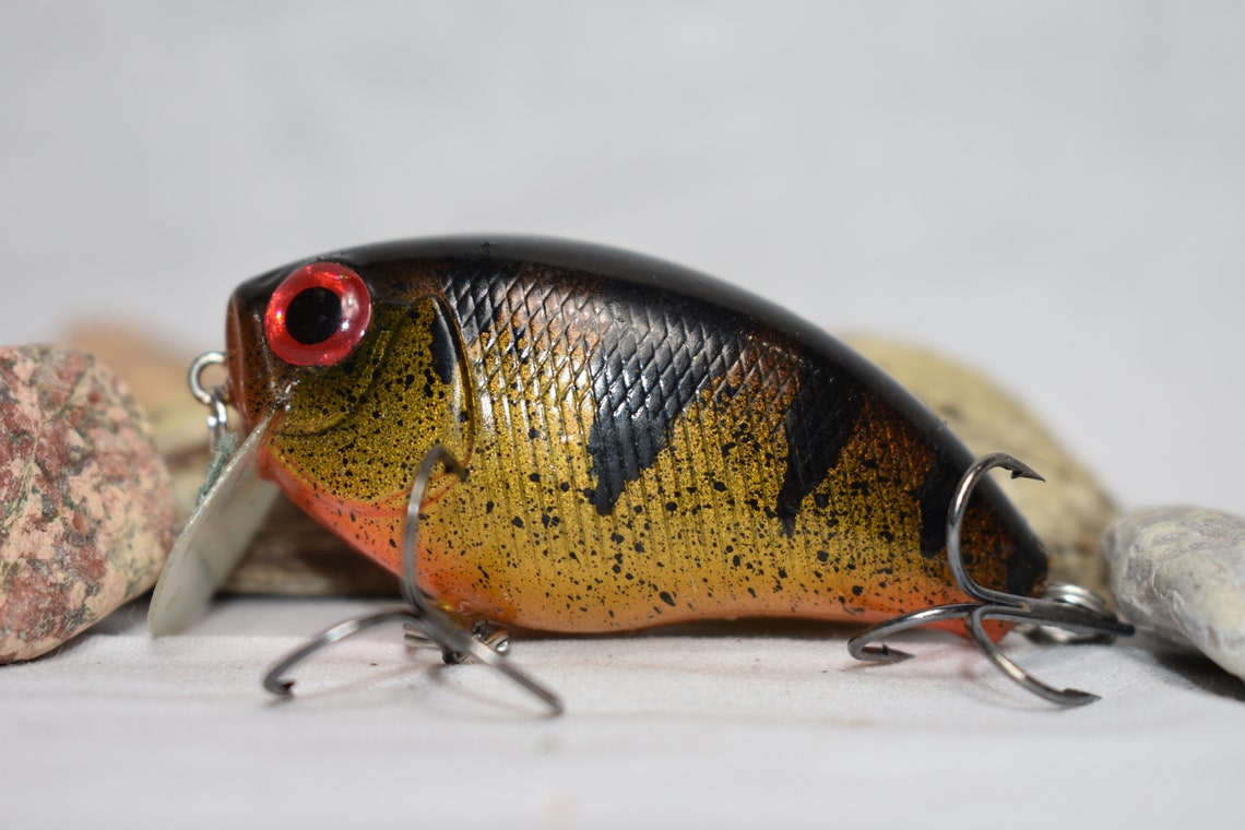 Howell Custom Lures Golden Perch Custom Painted Fishing Lure Etsy