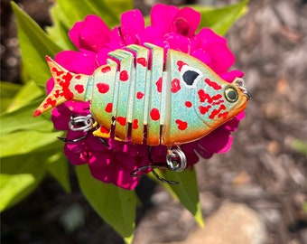 Howell Custom Lures- Red Seed -custom painted fishing lure - Realistic multi-jointed 2" swimbait