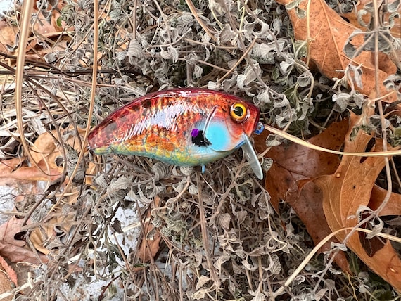 Handmade "crazy Fire Gill" Fishing Lure: Custom Painted Crankbait - Etsy
