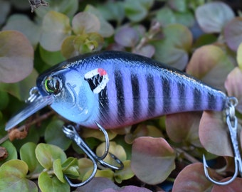 Howell Custom Lures - Purple Rain - custom painted fishing lure