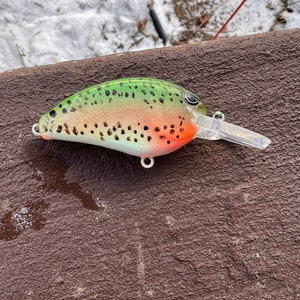 Airbrush Paint Trout - Etsy