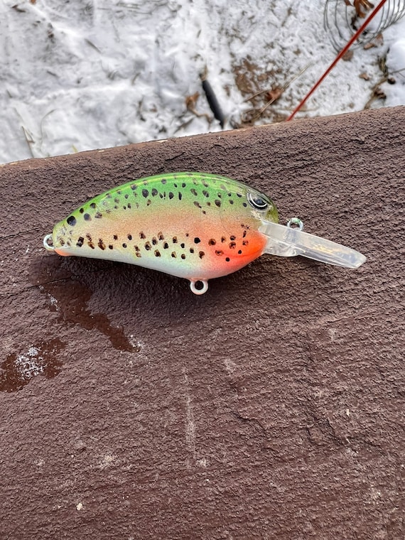 Howell Custom Lures- Rainbow Trout- Custom Painted Fishing Lure - Etsy Howell Custom Lures- Rainbow Trout- Custom Painted Fishing Lure - Etsy