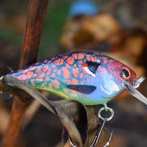 May include: A colorful fishing lure with a red, blue, and green paint job. The lure has a black and white eye and a silver hook.