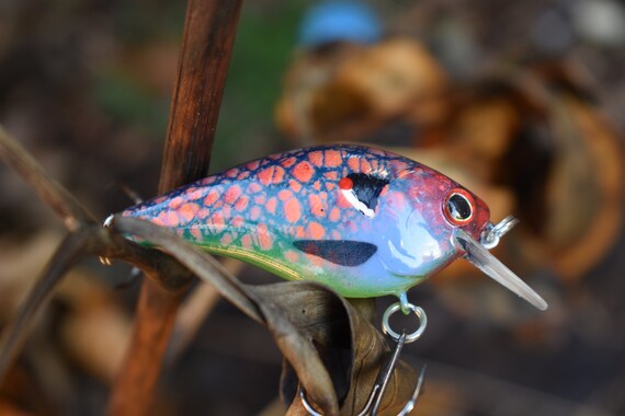 baitcast round reel Fishing for Fun Baitcaster – FishinNStuff Fantasista™ X Casting Rod Calcutta Conquest 300 and Type:LX G2 6.0 LEFTY All Saltwater