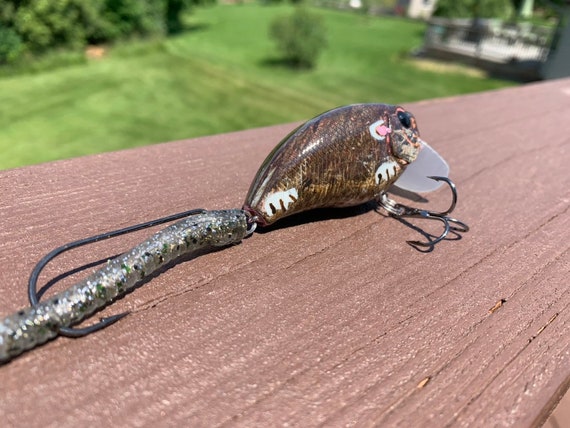 a good river fishing pole What's the Best Fly Rod and Reel for a Beginner?