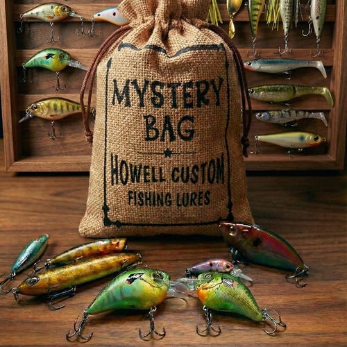 Custom Painted Fishing Lure Mystery Bag - Crankbait Swimbait Gift - Etsy