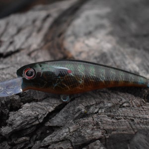 May include: A dark green, brown, and black fishing lure with a red eye and a clear plastic lip. The lure is lying on a piece of weathered wood.