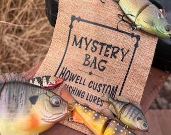 Custom Painted Fishing Lure Mystery Bag: Bass Swimbaits