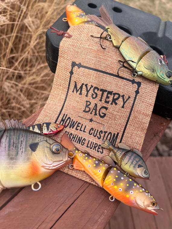 Custom Painted Fishing Lure Mystery Bag: Bass Swimbaits - Etsy Israel