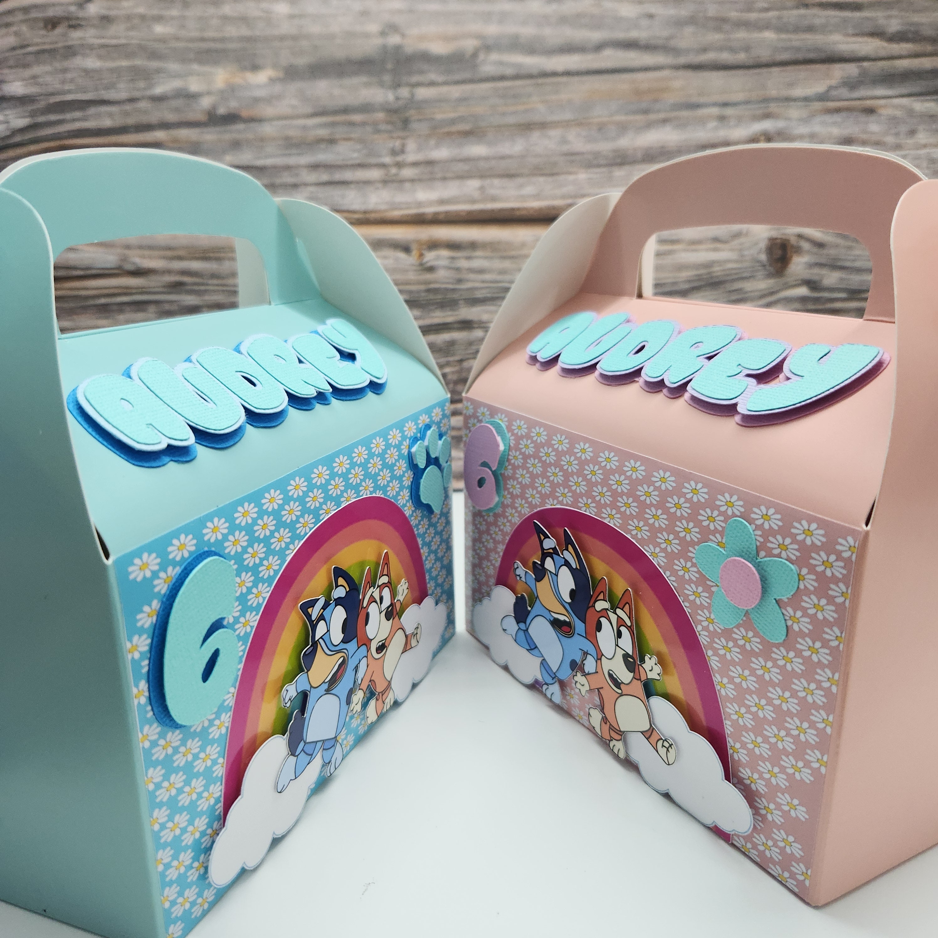 Bluey Treat Boxes - Pack of 6