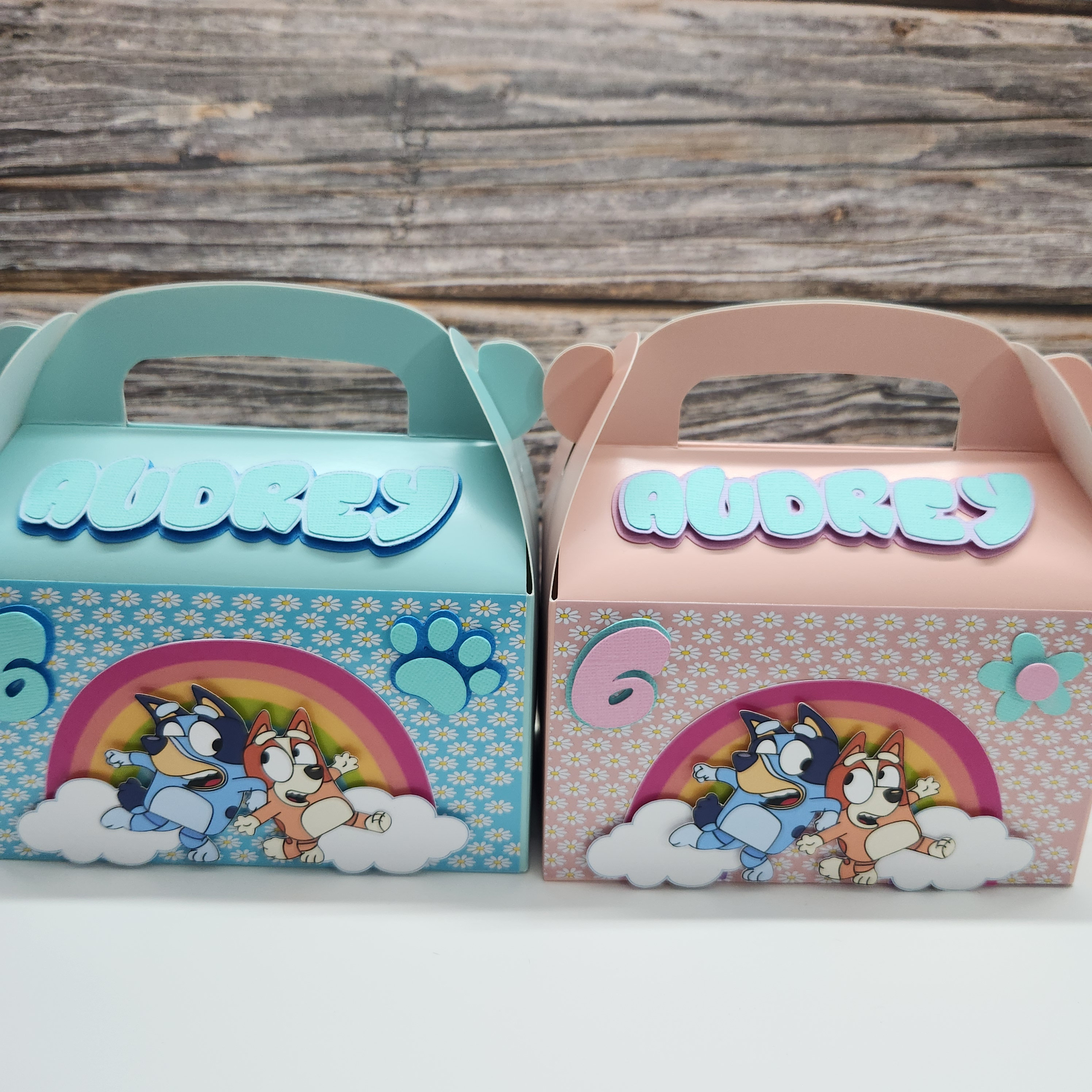 Bluey Treat Boxes - Pack of 6