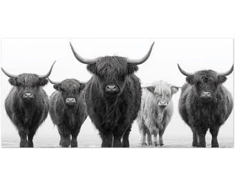 Highland Kühe Packung mit 10 Grußkarten - Postkartenstil