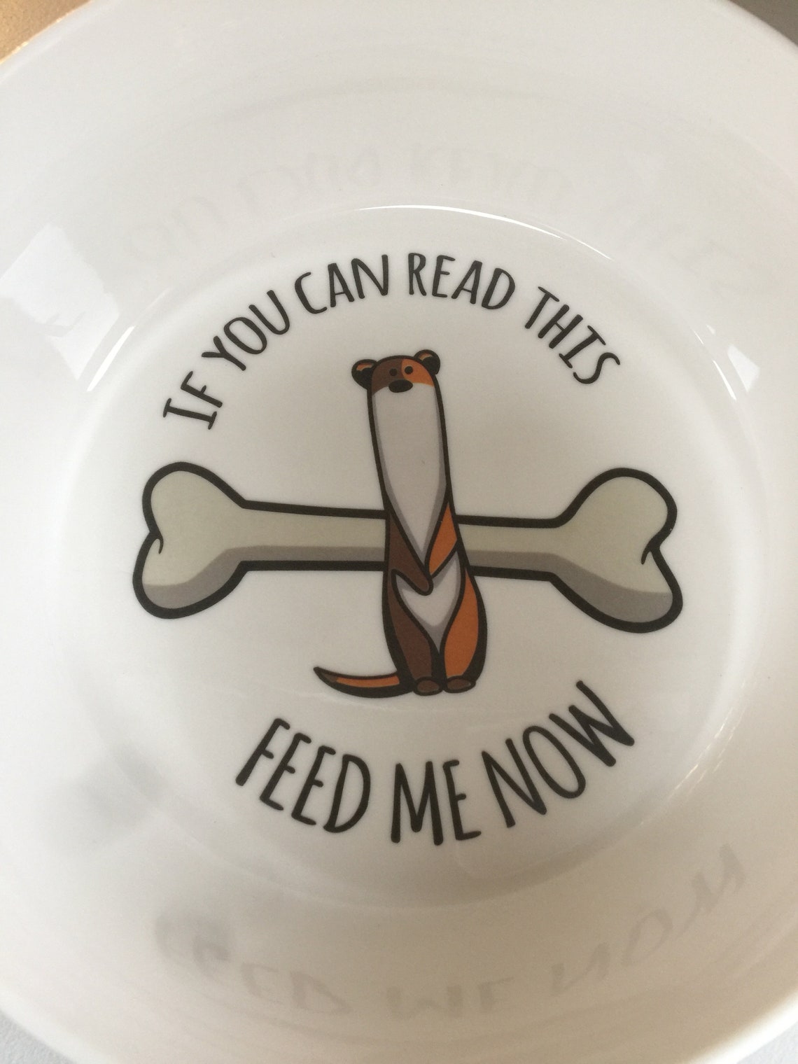Feed Me Now Ferret/Pet Food Bowl Etsy