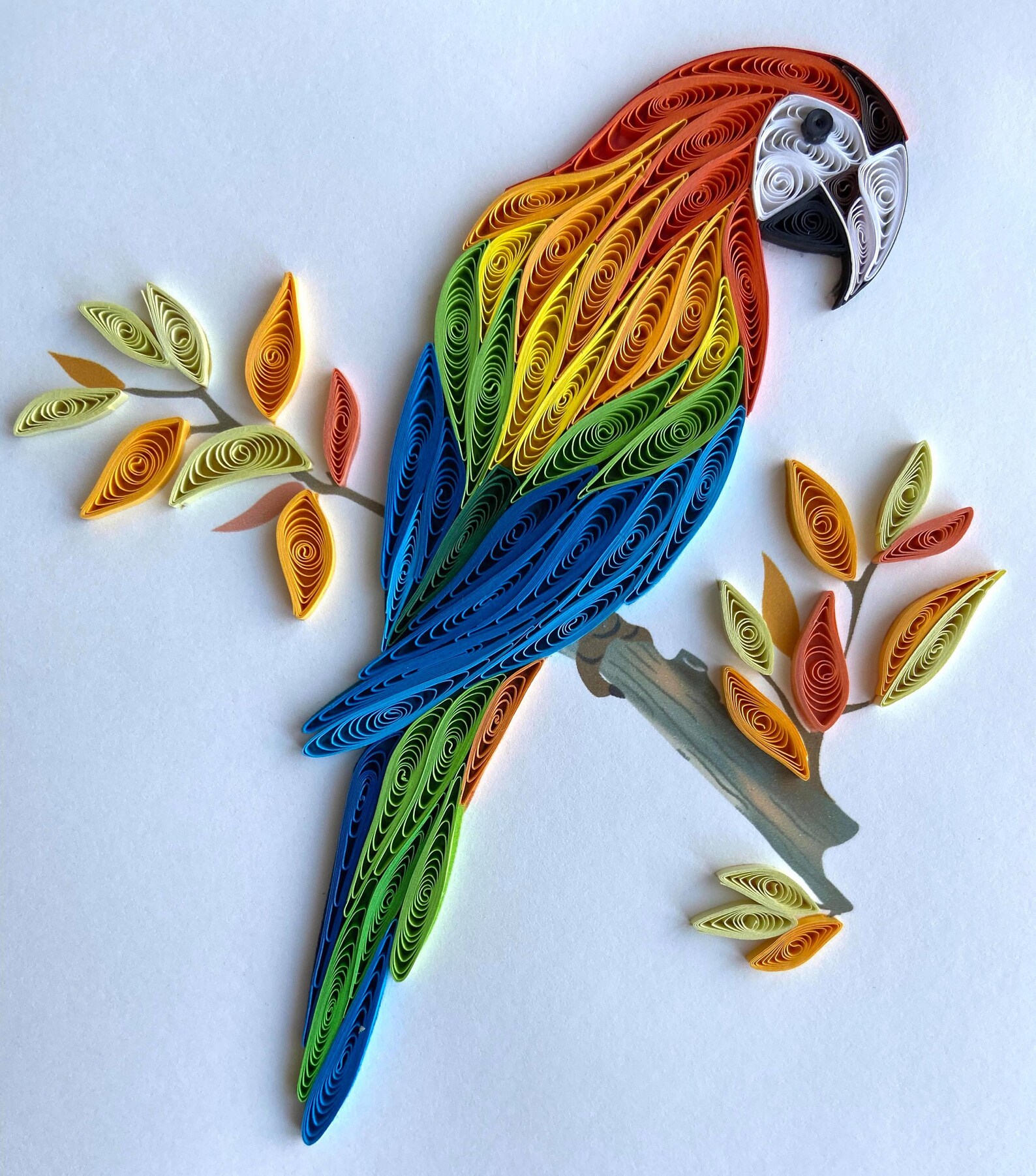 Parrot Quilling Card Art Paper Greeting Card Quilling Card Etsy India