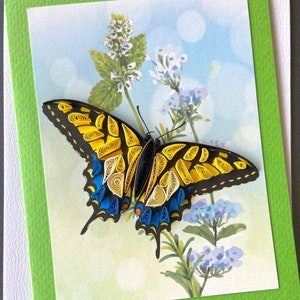 COMBINE Quilling & Pop Up card- Butterfly