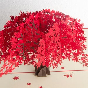 Japanese Maple - Pop Up Card, Art paper, Greeting Card, Quilling Card, Craft cards, Handmade card.